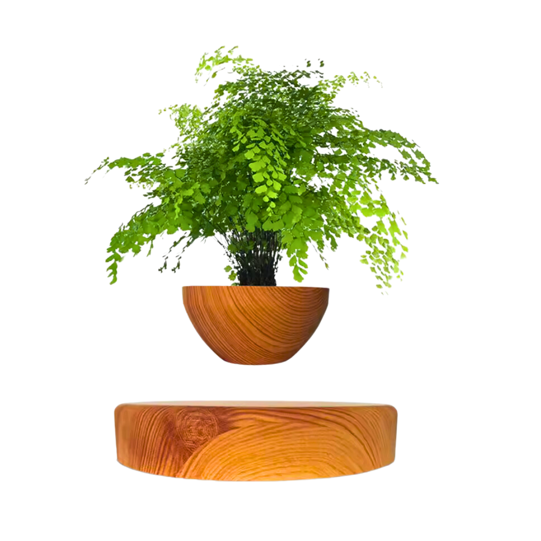 Levitating Flower Pot