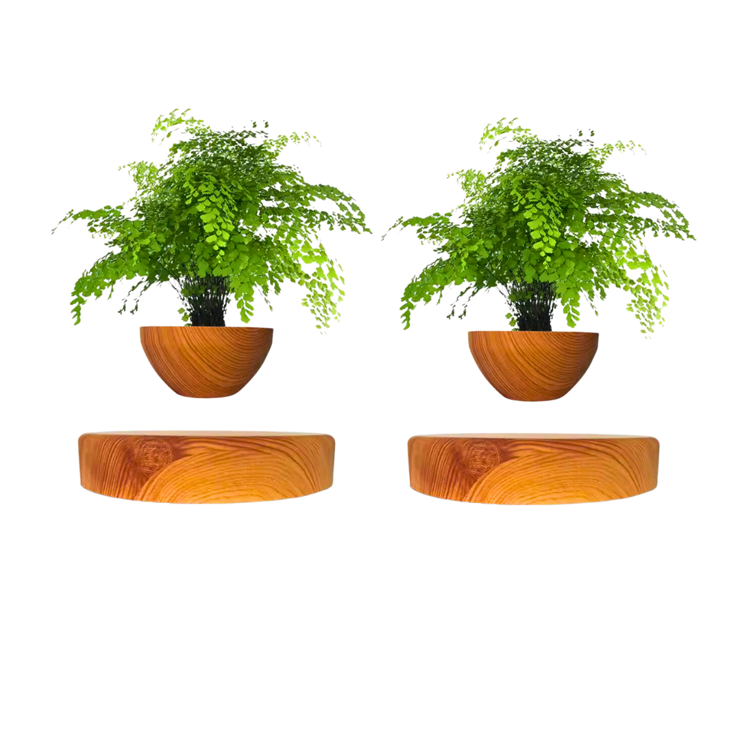 Levitating Flower Pot