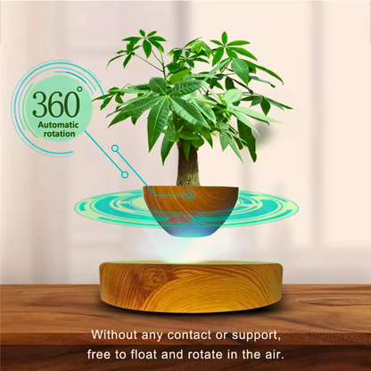 Levitating Flower Pot