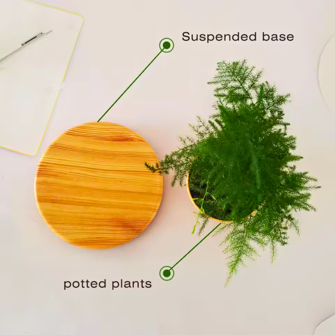 Levitating Flower Pot